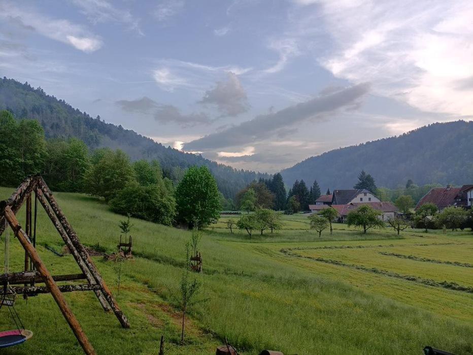 Zum Eichbuehl Appartement St. Blasien Buitenkant foto