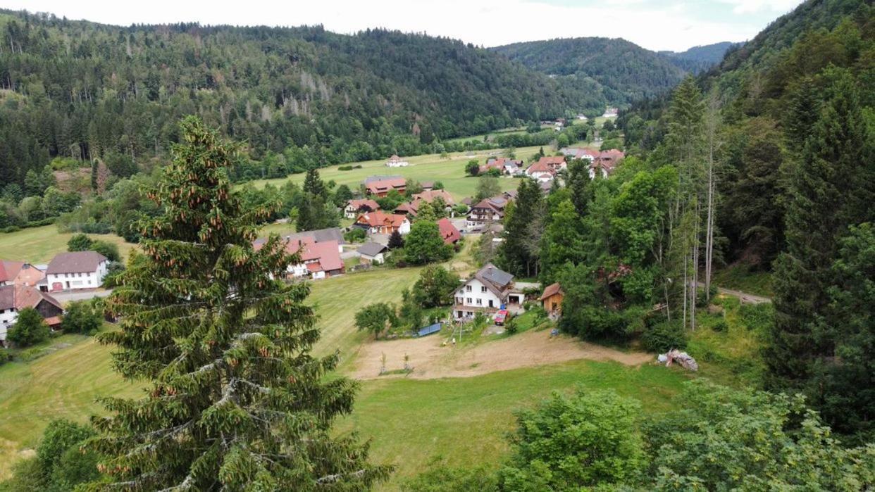 Zum Eichbuehl Appartement St. Blasien Buitenkant foto